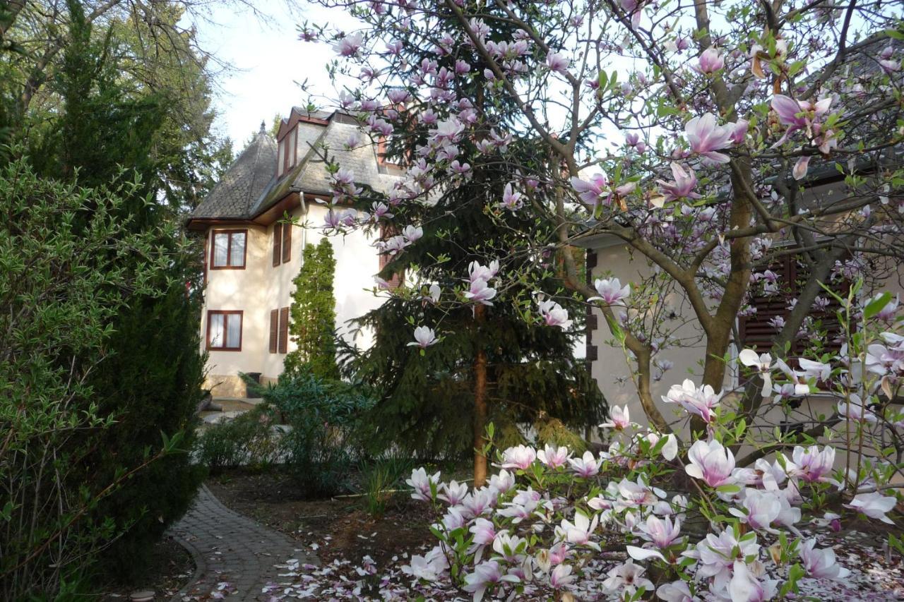 Balaton Art Guesthouse Balatonszárszó Dış mekan fotoğraf