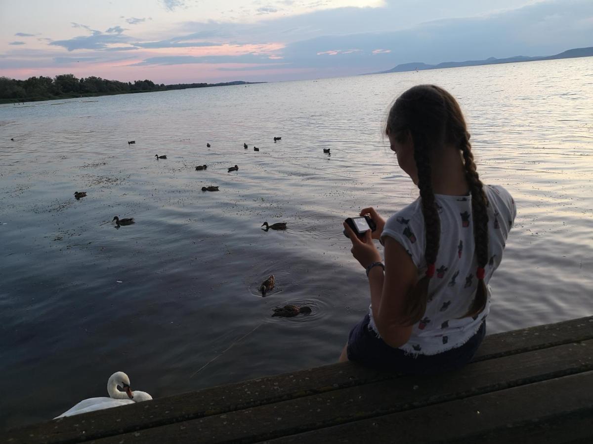 Balaton Art Guesthouse Balatonszárszó Dış mekan fotoğraf