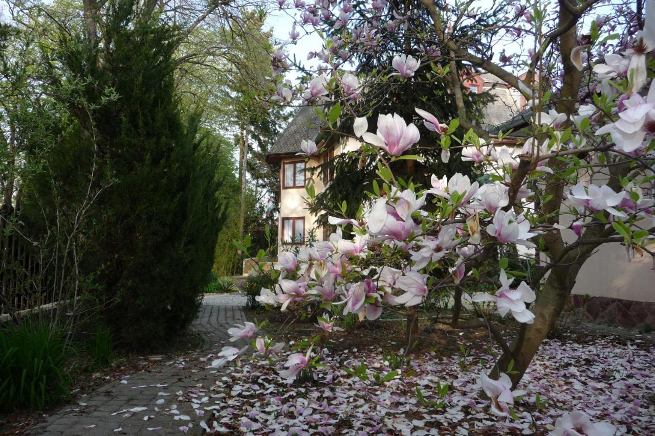 Balaton Art Guesthouse Balatonszárszó Dış mekan fotoğraf