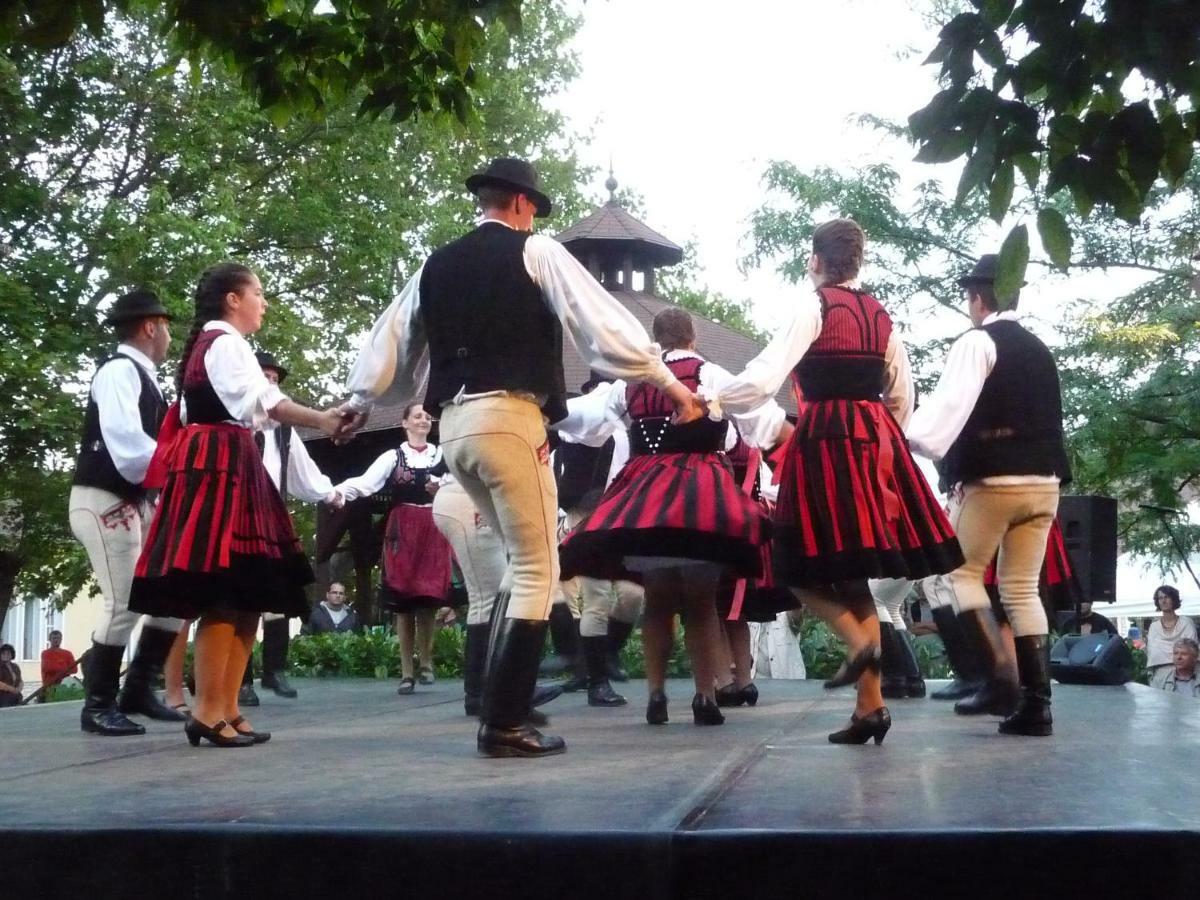 Balaton Art Guesthouse Balatonszárszó Dış mekan fotoğraf