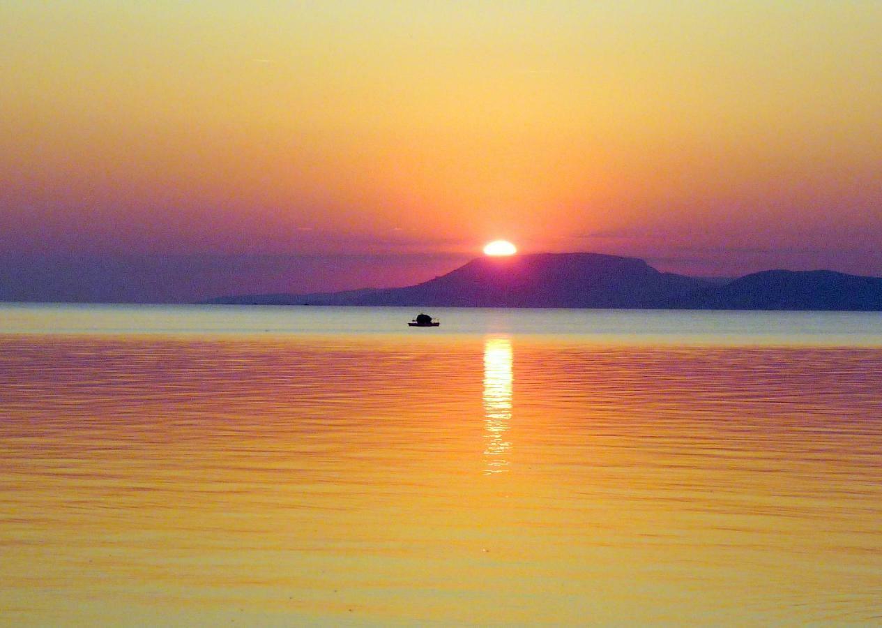 Balaton Art Guesthouse Balatonszárszó Dış mekan fotoğraf