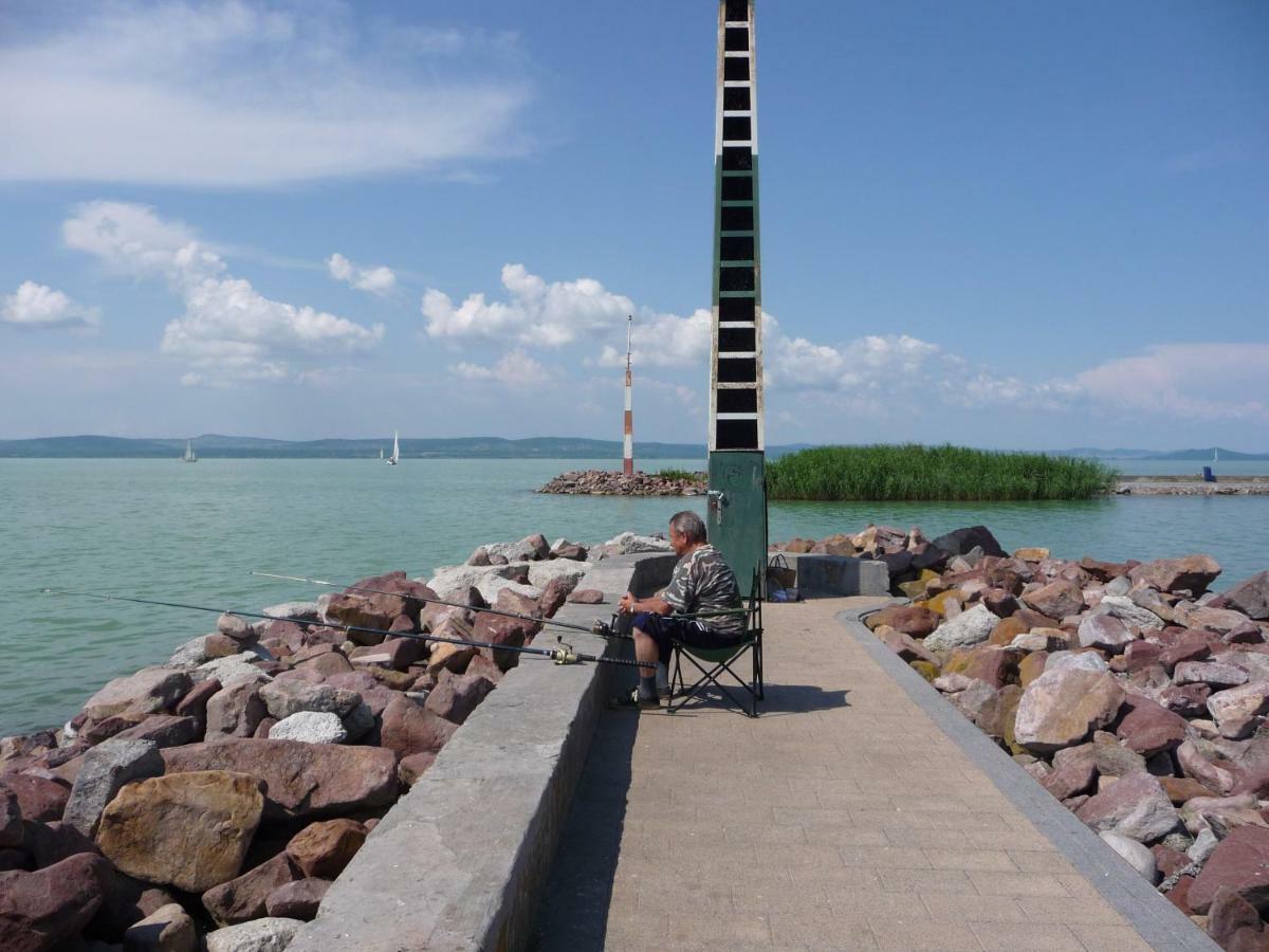 Balaton Art Guesthouse Balatonszárszó Dış mekan fotoğraf
